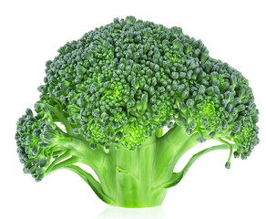 Delicious fresh broccoli cabbage isolated on a white background - 768243906