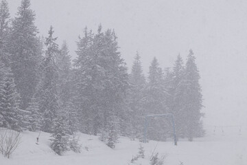 Dragobrat, Ukraine. March 18, 2024 The Carpathians are incredibly beautiful. heavy snow and fog. all the roofs and trees are covered with snow. a place of strength and rest