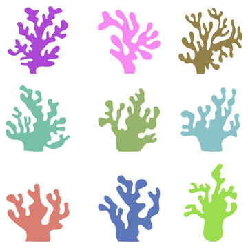 Exotic coral reef. underwater natural life. Vector flat graphic design element concept