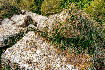 Termessos ancient city the amphitheatre. Termessos is one of Antalya -Turkey's most outstanding...