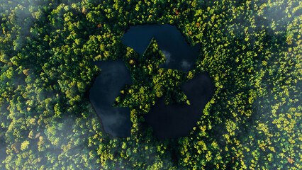 Beautiful green forest with a lake and a recycling sign, bird's eye view. Ecology, concept. Save...