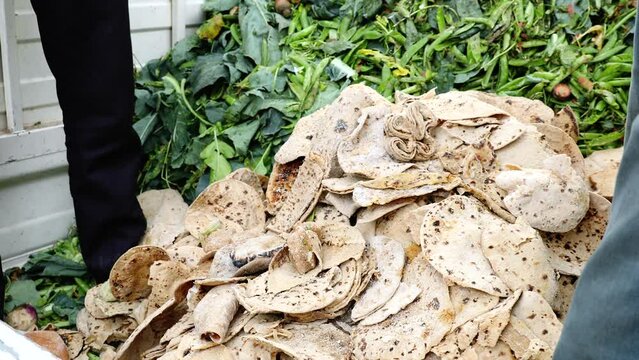 Food Waste Management scraps rotting bad scrapes indian flat bread naan, banana or soy peels collected for compost dumpster in a bin container good for environment for landfill throwing in a container