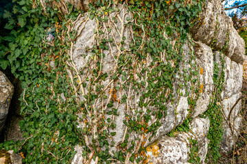 Termessos ancient city the amphitheatre. Termessos is one of Antalya -Turkey's most outstanding...