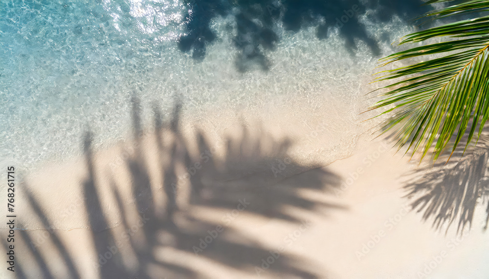 Poster a palm tree is laying on the sand next to the ocean. the water is calm and the palm tree casts a sha