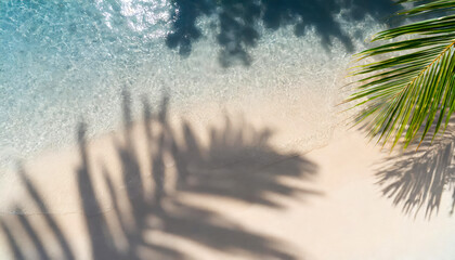 A palm tree is laying on the sand next to the ocean. The water is calm and the palm tree casts a...