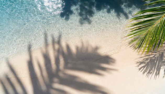 A palm tree is laying on the sand next to the ocean. The water is calm and the palm tree casts a shadow on the sand, top view, tropical vacation concept background