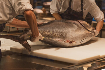 firsch gefanger großer Thunfisch der zerlegt und aufgeschnitten wird in der Küche