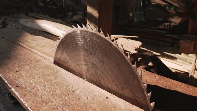 Saw mill with saws cutting wood and timber logs using machines 
