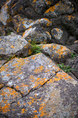 Orange lichen on north shore boulders