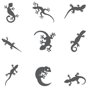 set of lizard vector elements, animal, art, big, black, chameleon, claw, collection, design, dragon, drawing, drawn, environment, exotic, gecko, graphic, head, icon, iguana, illustration, image