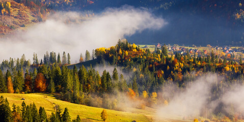 autumn morning scenery, nature colorful background, Europe, Carpathian mountains, Ukraine, mountains - obrazy, fototapety, plakaty