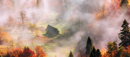autumn morning scenery, nature colorful background, Europe, Carpathian mountains, Ukraine, mountains