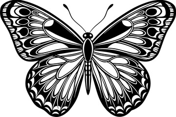 A realistic Butterfly  silhouette  vector art illustration