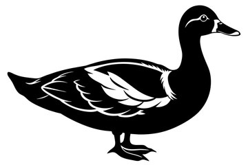 waterfowl muscovy duck silhouette vector illustration