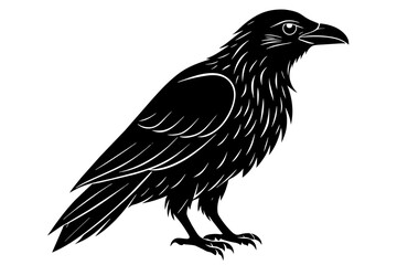 raven silhouette vector illustration