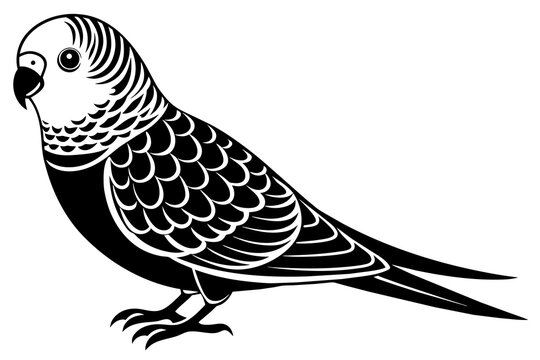 recommend clip art: parakeet silhouette vector illustration