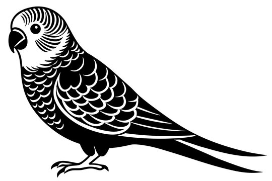 recommend clip art: parakeet silhouette vector illustration