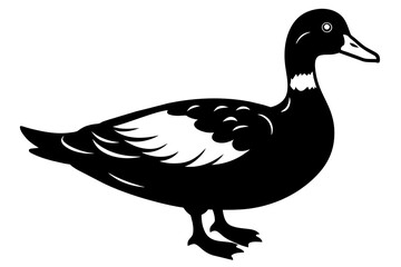 muscovy duck silhouette vector illustration