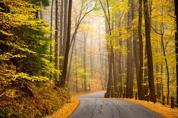 A paved road  winding and snaking through a forest of autumn colors near Cornish, New Hampshire.