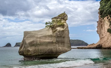 Zelfklevend Fotobehang Large isolated rock outcrop offshore at Cathedral Cove, Coromandel Peninsula,  New Zealand © Nigel