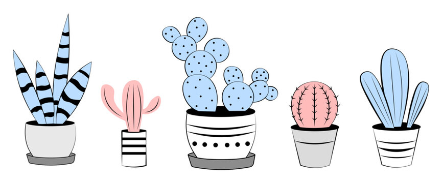 Different cacti on a white background. Doodle