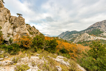 Termessos ancient city the amphitheatre. Termessos is one of Antalya -Turkey's most outstanding archaeological sites. Despite the long siege, Alexander the Great could not capture the ancient city.