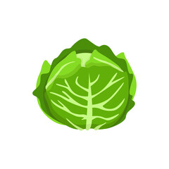 Vegetable Flat Illustration