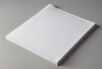 White paper isolated on a gray, changeable background that is blank in portrait A4 size.  - obrazy, fototapety, plakaty