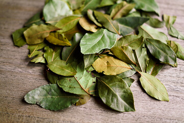Green bay leaves as a background. Close up. 
