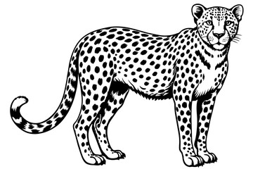 A realistic Cheetah silhouette  vector art illustration