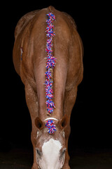 Patriotic Horse with red white and blue braids and pompoms 