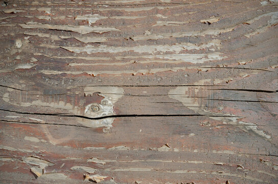 background and texture of old worn brown wood, unpainted and with cracks