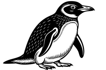 A realistic Penguin silhouette  vector art illustration