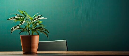 A houseplant in a flowerpot sits on a wooden table in front of a green wall. It may need water to thrive, as it is a terrestrial plant
