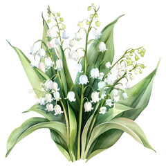 Watercolor arrangement with bouquets of delicate spring lilies of the valley. 