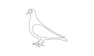 Vector continuous one simple single abstract line drawing of pigeon bird isolated on a white background
