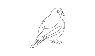 Vector continuous one simple single abstract line drawing of pigeon bird isolated on a white background
