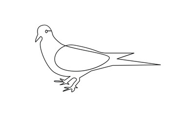 Vector continuous one simple single abstract line drawing of pigeon bird isolated on a white background
