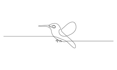 Vector continuous one simple abstract line drawing of humming bird isolated on a white background
