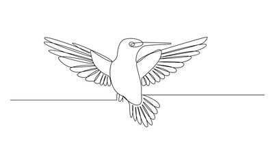Obraz premium Vector continuous one simple abstract line drawing of humming bird isolated on a white background 