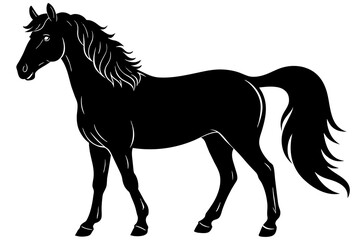 morgan horse silhouette vector illustration