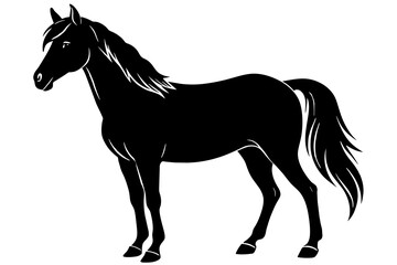 morgan horse silhouette vector illustration