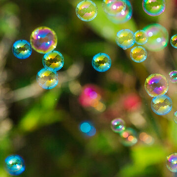 Soap bubbles on a dark background. Close-up. Macro