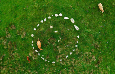 Brenig 8 aka Waen Ddafad, Cairn 1. One of the prehistoric Brenig Cairns above Llyn Brenig reservoir...