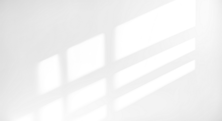 Shadow overlay effect isolated on transparent background, png. Light and shadows from window. Mockup of transparent shadow overlay effect and natural lightning in room interior