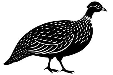 guinea fowl silhouette vector illustration
