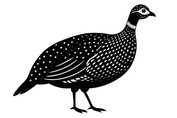 Fototapeta na wymiar guinea fowl silhouette vector illustration