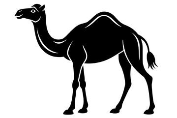 dromedary camel silhouette vector illustration