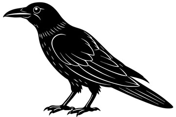 crow silhouette vector illustration