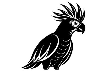 cockatiel silhouette vector illustration